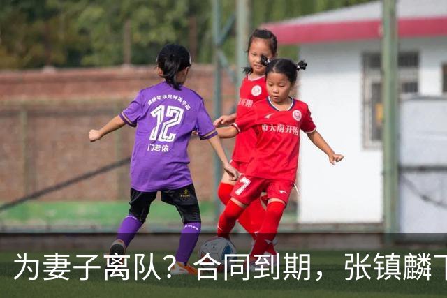 为妻子离队？合同到期，张镇麟下家4选1，广东2队有机会